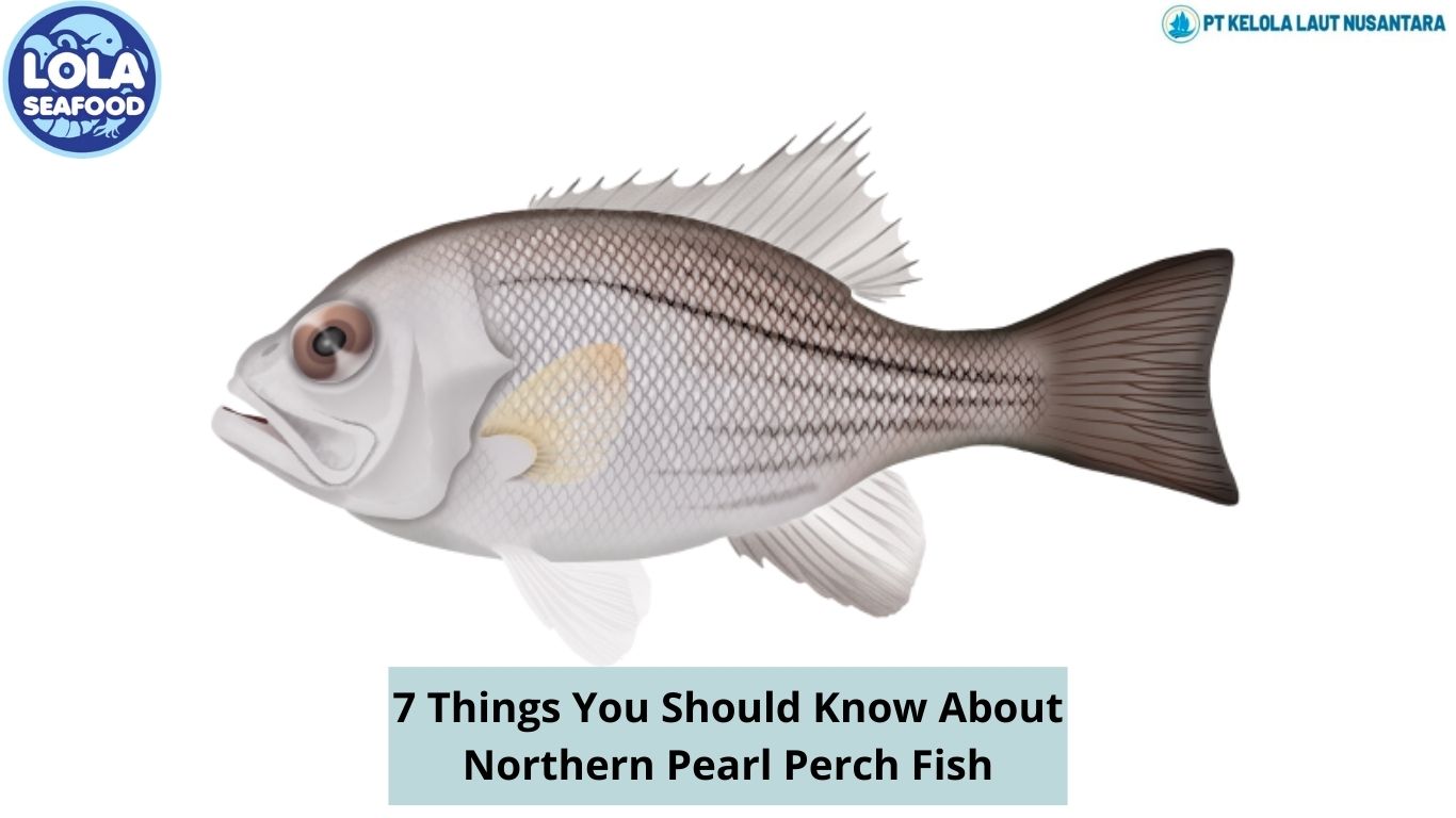 7 Things You Should Know About Northern Pearl Perch Fish